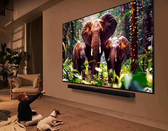 Fernseher