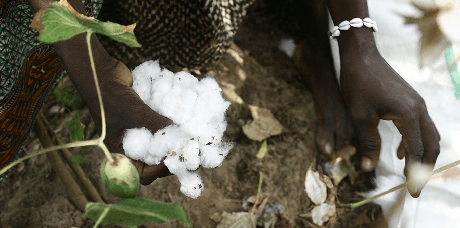 Cotton made in Africa