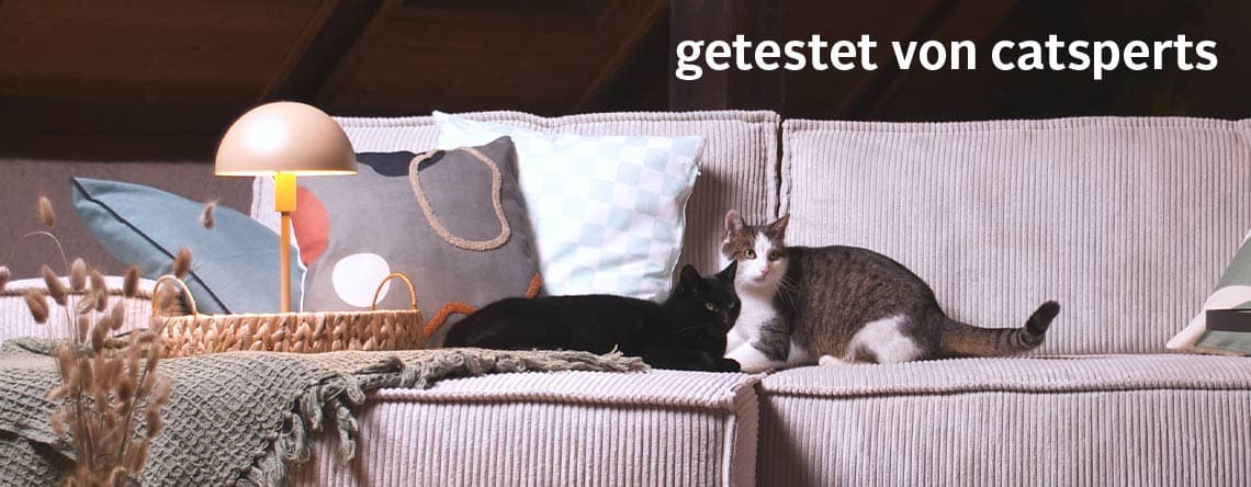 getestet von catsperts