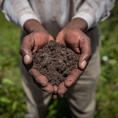Erhalt der Bodenfruchtbarkeit durch Anbau verschiedener Früchte