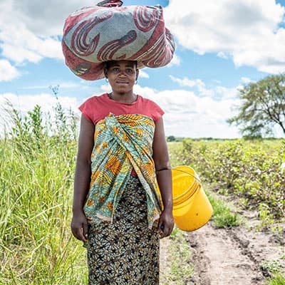 Wasserersparnis durch den Verzicht von künstlicher Bewässerung
