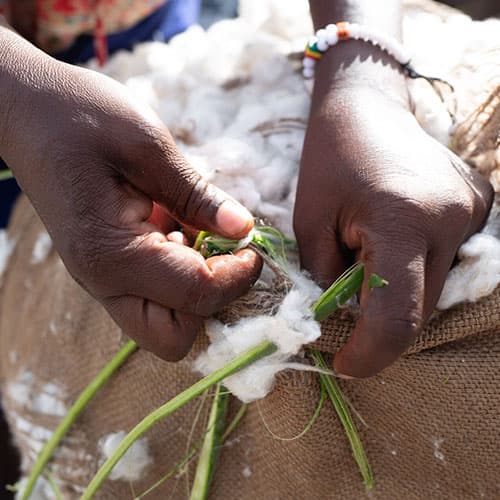 715.000 Tonnen zertifizierte CmiA-Baumwolle in 2022