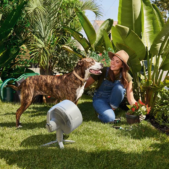 Frau in Jeans-Latzhose kniet im Garten neben einem braun-weiß gestreiften Hund, der sie anschaut, ein Ventilator steht im Vordergrund.