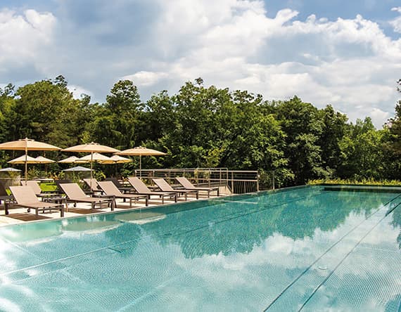 Pool mit Liegestühlen und Sonnenschirmen, umgeben von Bäumen unter blauem Himmel.