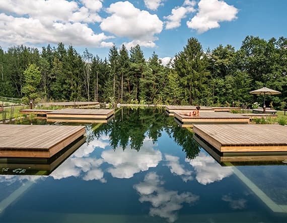 Holzdecks über einem klaren Teich, umgeben von Wald, mit Wolkenspiegelung im Wasser.