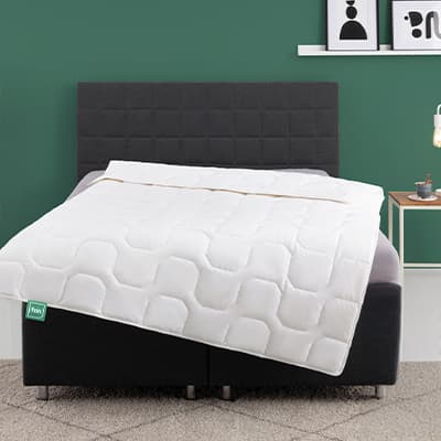 Modernes Bett mit weißer Steppdecke in Schlafzimmer mit grüner Wand und Nachttisch.