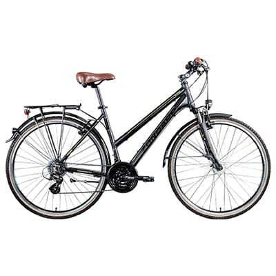 Schwarzes Cityrad mit tiefem Einstieg, braunem Sattel, Gepäckträger und Schutzblechen, seitlich vor weißem Hintergrund