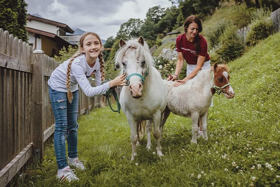 Zwei Personen stehen auf einer Wiese und streicheln zwei Ponys an Halftern im eingezäunten Garten