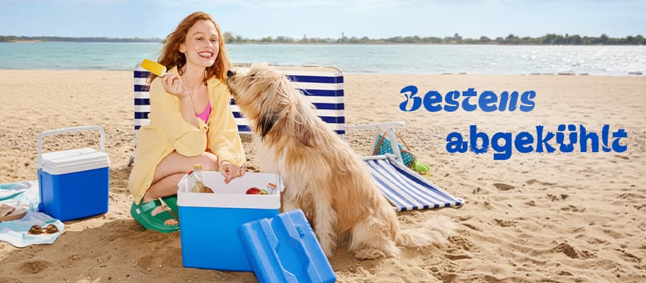 Bestens abgekühlt – Frau am Strand holt Eis aus Kühlbox, Hund steht daneben, Liegestühle und Meer im Hintergrund