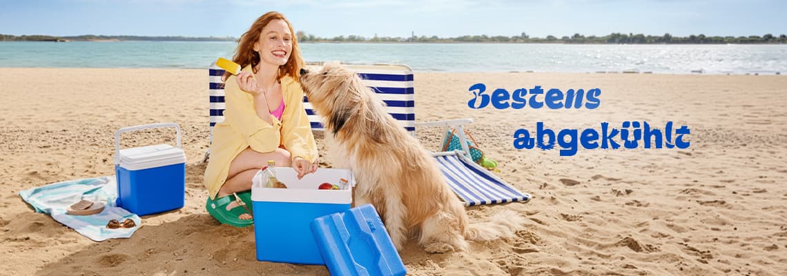 Bestens abgekühlt – Person isst Eis am Strand, Hund sitzt davor, blaue Kühlboxen und Liegestuhl im Sand