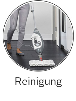 Reinigung