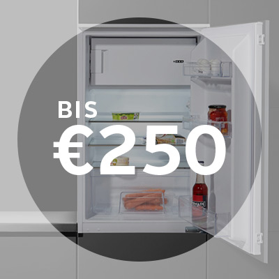 Kühlschränke bis € 250,-