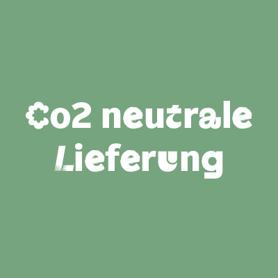 CO2 neutrale Lieferung 
