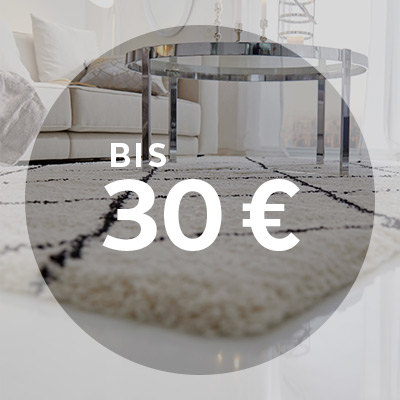 Teppiche bis € 30,-