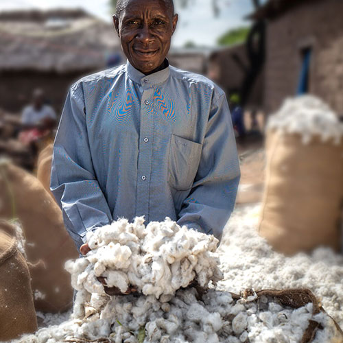 Unterstützt über 900.000 Baumwollbauer*innen in Subsahara Afrika
