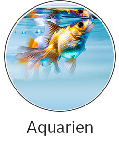 Aquarien