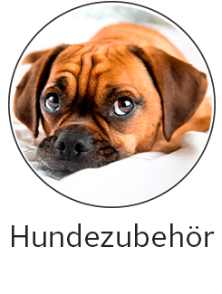 Hundezubehör