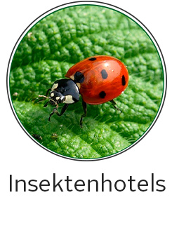 Insektenhotels