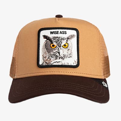 WISE ASS – braune Kappe mit Eulenmotiv auf der Vorderseite